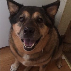 Meet your Posher, Lizzy